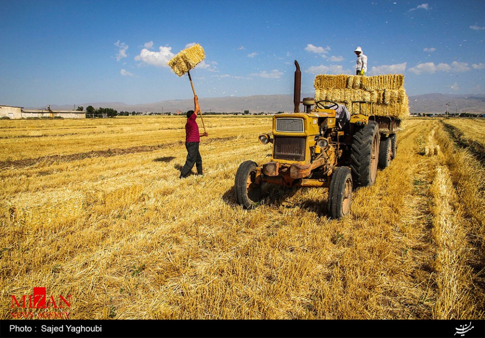 Wasserwirtschaft und Landwirtschaft in Iran